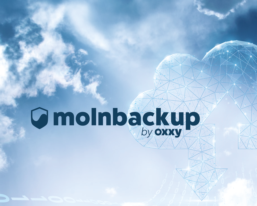 Molnbackup