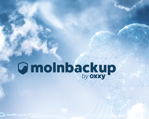 Molnbackup